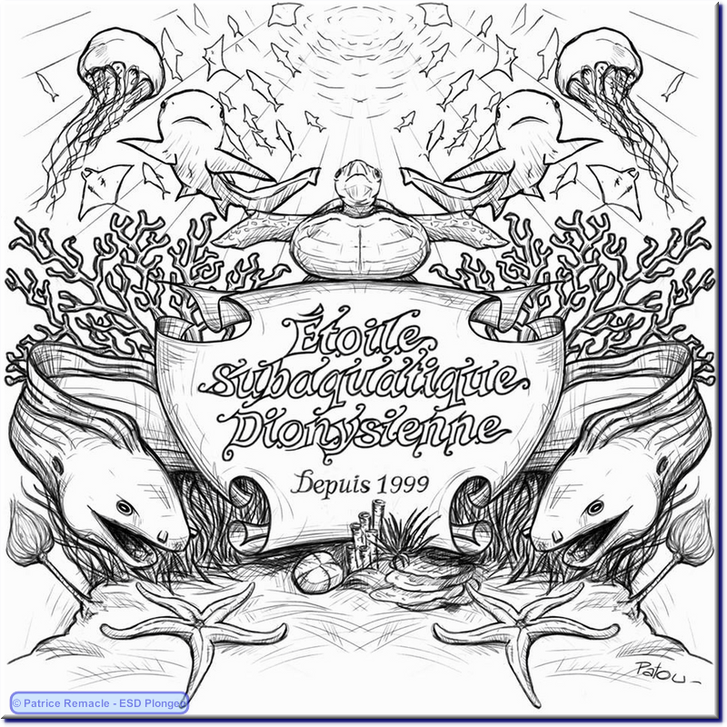 2013-12-23_logo_esd_plongee.png
