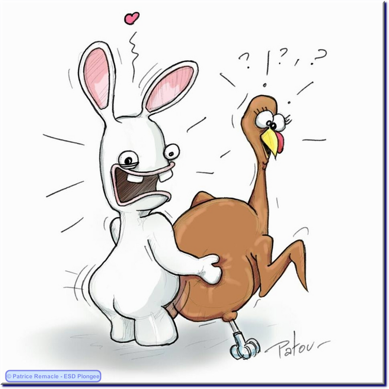 2014-11-22_dinde_et_lapin_cretin.png