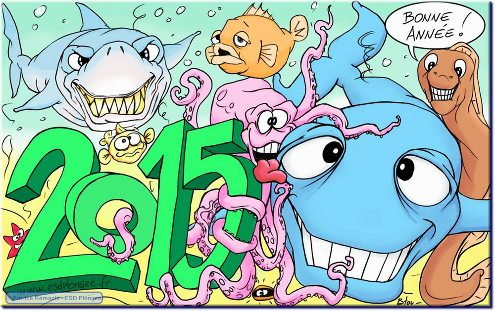 2015-01-01_voeux_2015.png