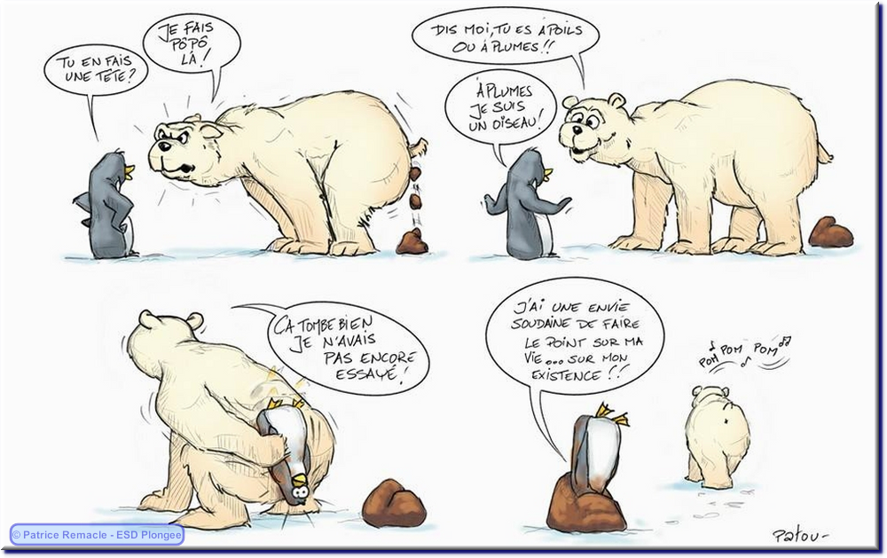 2015-01-04_ours_pingouin.png